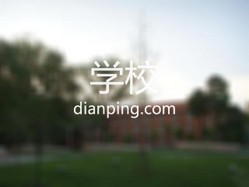 辽南白山艺术学校 Logo