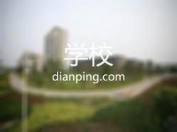 百灵钢琴学校 Logo