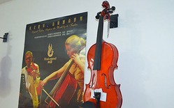 雅诺小提琴培训