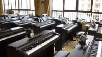 武汉音乐琴文化艺术有限公司